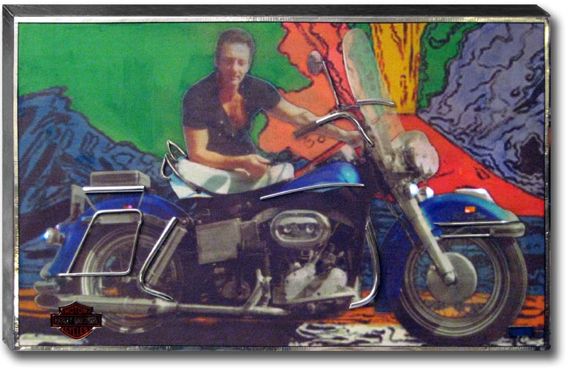 090110-BlueChip-HarleyDavidsonEG-AldoexWarhol-100x50H